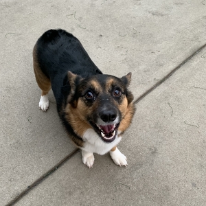 Fundraising Page: Richard Eisenreich